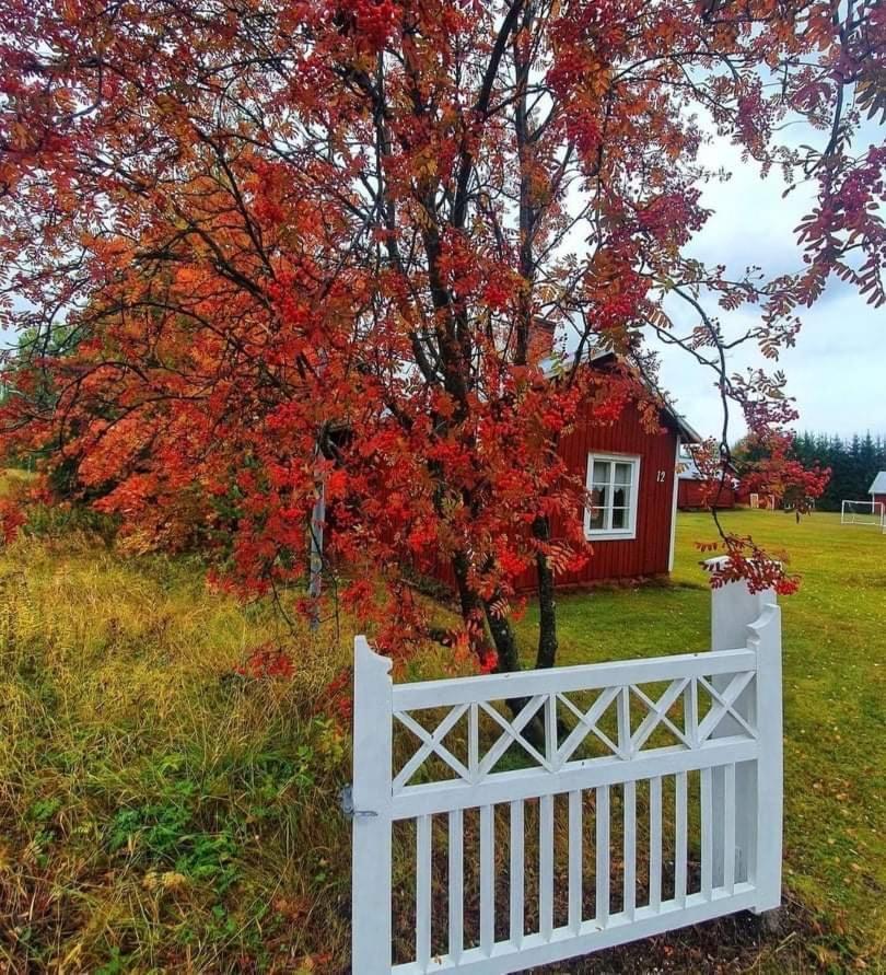 Guesthouse Ojebyn